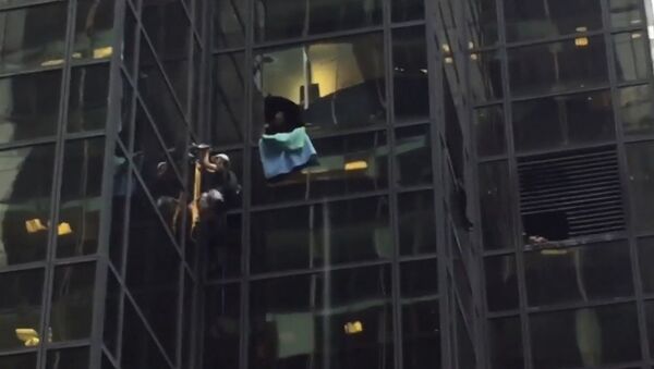 Мужчина на присосках взобрался по стене небоскреба Trump tower в Нью-Йорке - Sputnik Южная Осетия