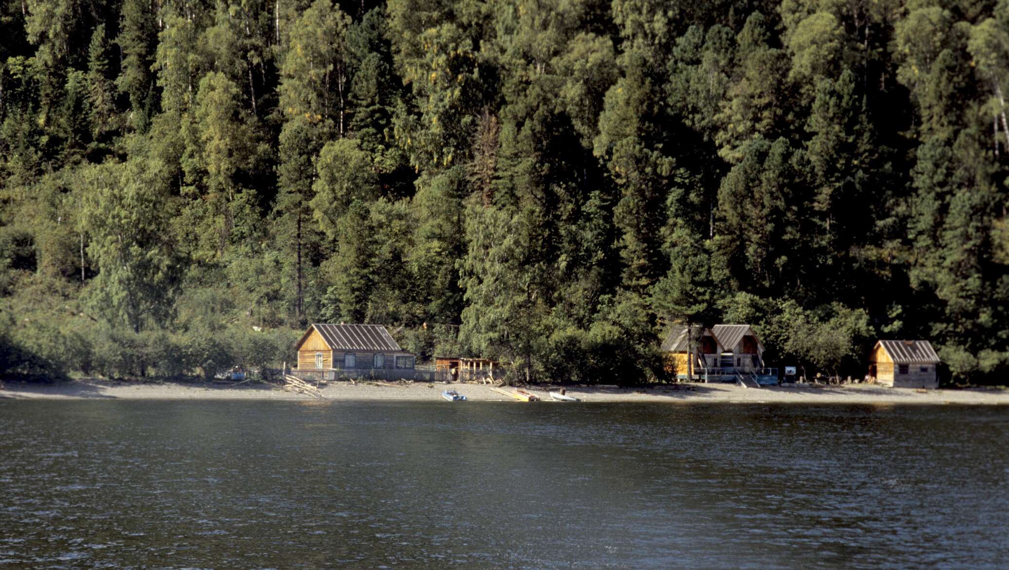 Кордон беле