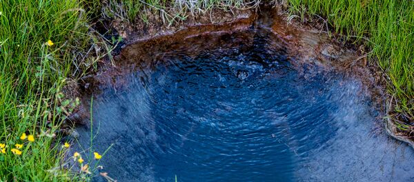 Источник Згубир вода Источник Згубир вода - Sputnik Хуссар Ирыстон