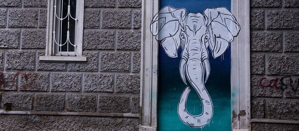 Стрит арт Стрит арт - Sputnik Хуссар Ирыстон