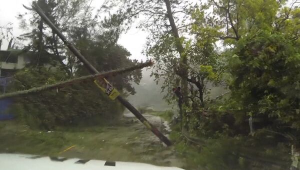 Спутник_Затопленные улицы и поваленные деревья - последствия урагана &quot;Мэтью&quot; на Гаити - Sputnik Южная Осетия