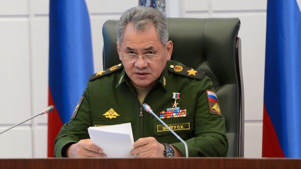 Министр обороны РФ Сергей Шойгу - Sputnik Южная Осетия