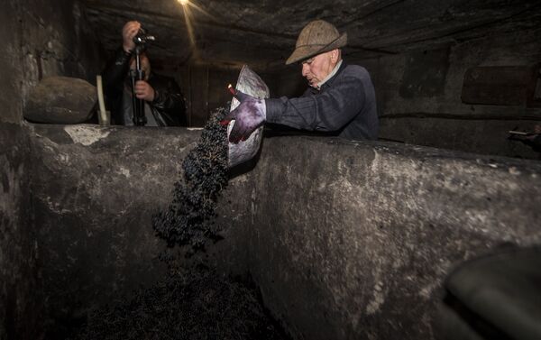 Павел засыпает виноград в бетонную давильню - Sputnik Южная Осетия