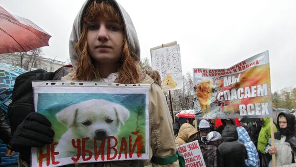 Митинг в защиту домашних животных - Sputnik Южная Осетия
