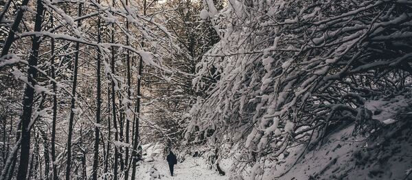 Дорога в село Шихантур Дорога в село Шихантур - Sputnik Южная Осетия