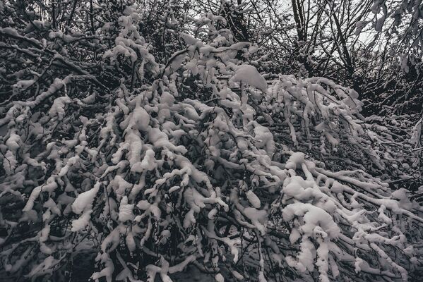 Жители столицы Южной Осетии еще не видели снега, а в горах — настоящая зимняя сказка. - Sputnik Южная Осетия