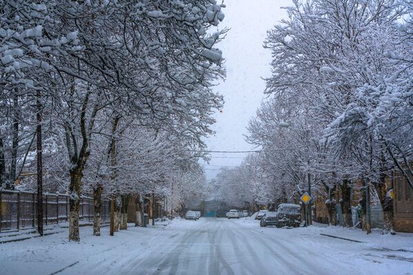 Уже первого декабря пошел снег, пока с дождем, а потом уже более сухой. Он накрыл и выбелил город. - Sputnik Южная Осетия