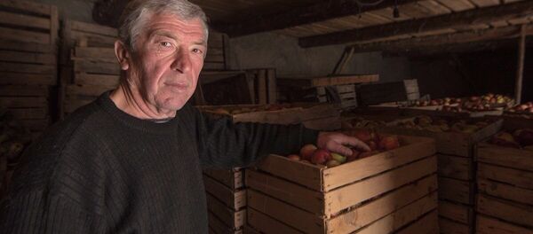 Яблоки Сатикар - Sputnik Хуссар Ирыстон