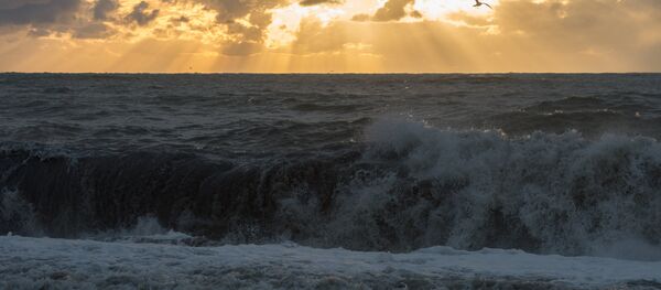 Последствия шторма в Сочи Последствия шторма в Сочи - Sputnik Южная Осетия