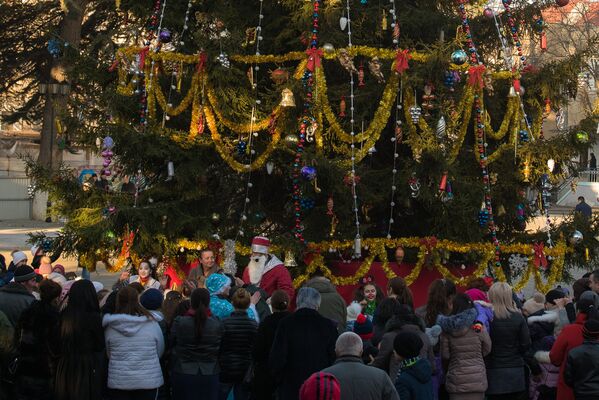 Последние пять лет Театральную площадь в Цхинвале на новогодние праздники украшала искусственная елка, но в этом году здесь установили настоящую живую ель. - Sputnik Южная Осетия