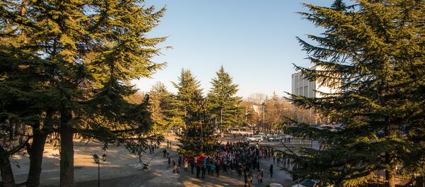 Елка Елка - Sputnik Южная Осетия