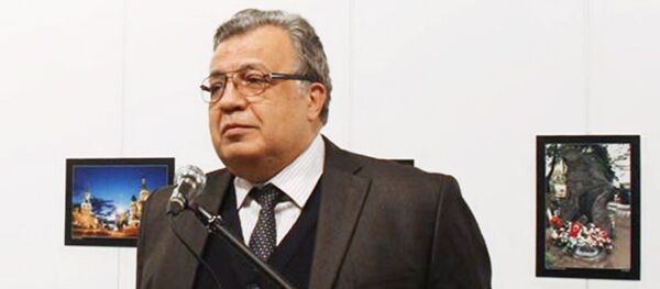 Посол России в Турции Андрей Карлов Посол России в Турции Андрей Карлов - Sputnik Южная Осетия