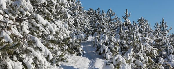Мид Мид - Sputnik Хуссар Ирыстон