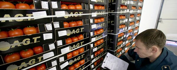 Работа таможенного поста Работа таможенного поста - Sputnik Южная Осетия