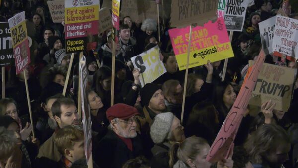 Протесты в Лондоне против миграционного указа Трампа - Sputnik Южная Осетия