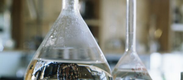 Подготовка к открытию Петербургского экономического форума Подготовка к открытию Петербургского экономического форума - Sputnik Хуссар Ирыстон