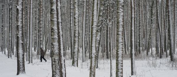 Зима в Санкт-Петербурге. Зима в Санкт-Петербурге. - Sputnik Южная Осетия