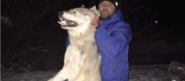 Цуанон - Sputnik Хуссар Ирыстон