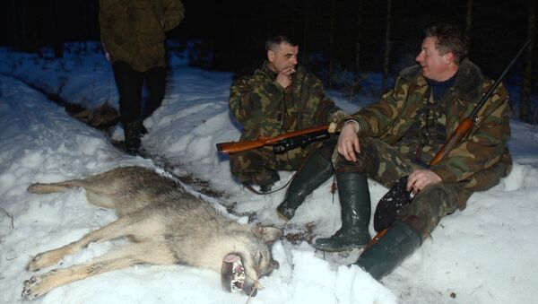 Охота на волков - Sputnik Южная Осетия