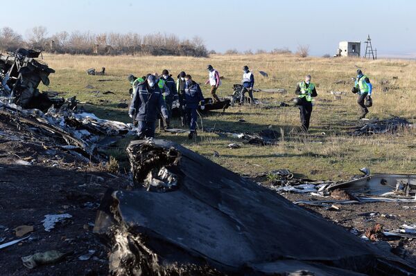 Эксперты ОБСЕ осматривают место крушения малазийского самолета - Sputnik Южная Осетия