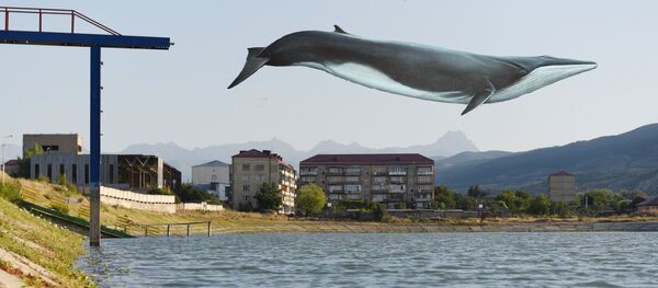 Кит над цхинвальским озером, коллаж Кит над цхинвальским озером, коллаж - Sputnik Южная Осетия