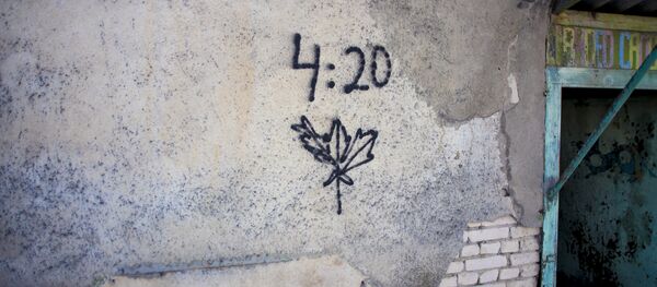 Синие киты синий кит тихий дом явигре разбуди меня в 4:20 Цхинвал Южная Осетия - Sputnik Южная Осетия