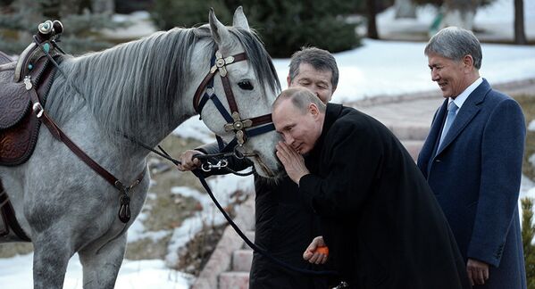 Атамбаев подарил Путину кыргызского скакуна - Sputnik Южная Осетия
