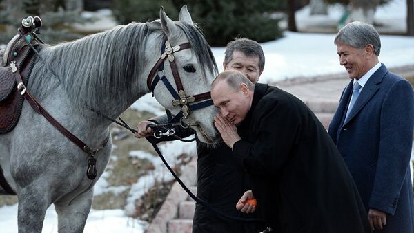 Атамбаев подарил Путину кыргызского скакуна - Sputnik Южная Осетия