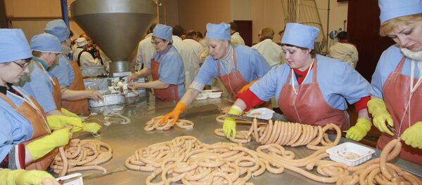 Комплекс по производству мяса индейки Евродон - Sputnik Южная Осетия