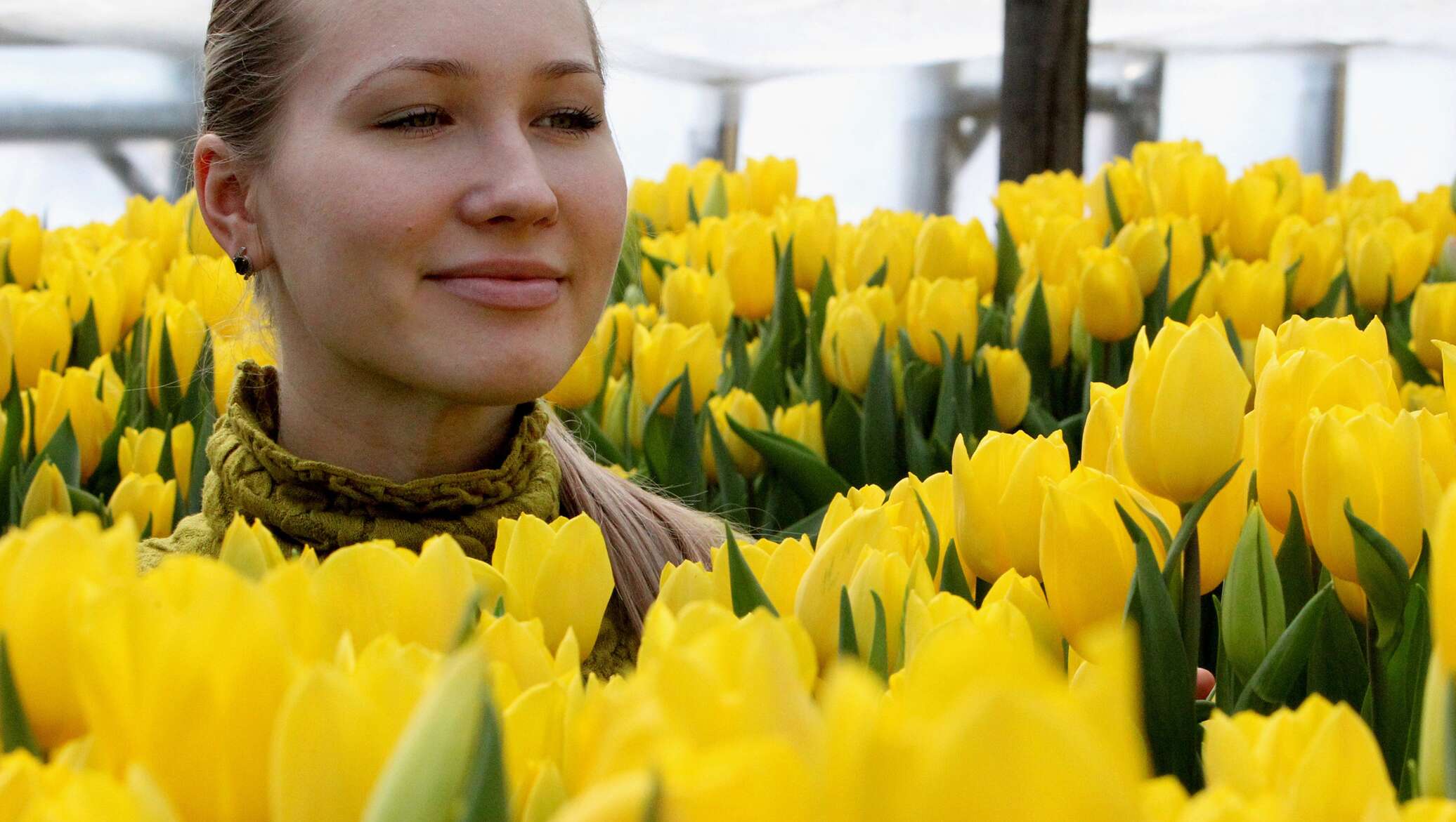 Желтые цветы для женщин на 8 марта