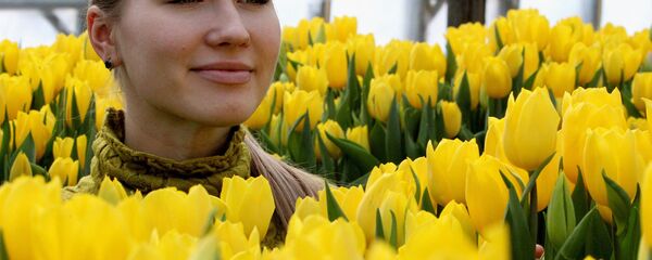 Ӕхсӕнадӕмон сылгоймӕгты бон Ӕхсӕнадӕмон сылгоймӕгты бон - Sputnik Хуссар Ирыстон