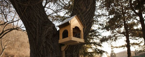 Станция юных натуралистов Станция юных натуралистов - Sputnik Южная Осетия