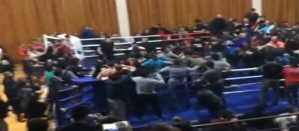 Массовая драка после боя чемпионата по ММА - Sputnik Южная Осетия