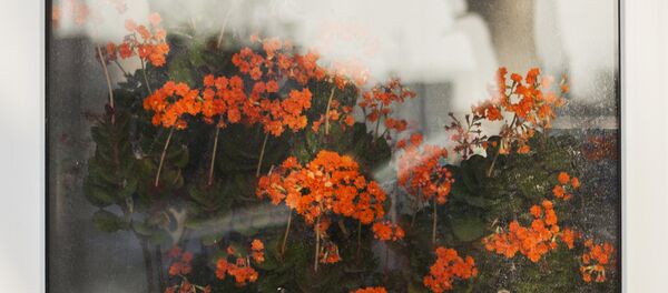 фотолента - Sputnik Южная Осетия