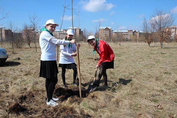 Акция по высадке деревьев во Владикавказе - Sputnik Южная Осетия