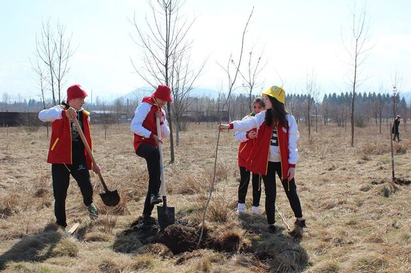 Акция по высадке деревьев во Владикавказе - Sputnik Южная Осетия