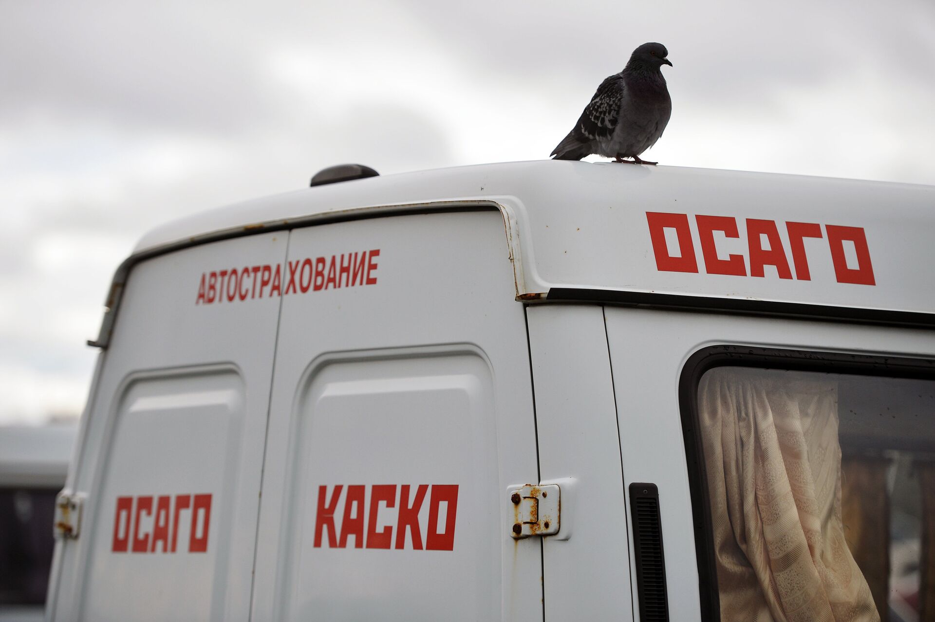 Оформление полисов ОСАГО и КАСКО Оформление полисов ОСАГО и КАСКО - Sputnik Южная Осетия, 1920, 08.06.2025