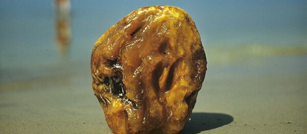 Янтарь, поделочный камень Янтарь, поделочный камень - Sputnik Южная Осетия