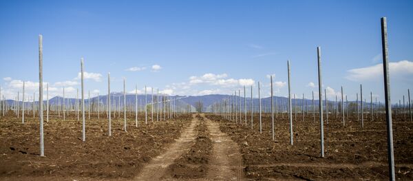 Сады Ирыстона Сады Ирыстона - Sputnik Хуссар Ирыстон