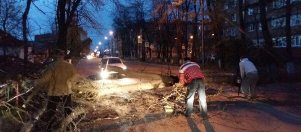 Во Владикавказе устраняют последствия шквалистого ветра Во Владикавказе устраняют последствия шквалистого ветра - Sputnik Южная Осетия
