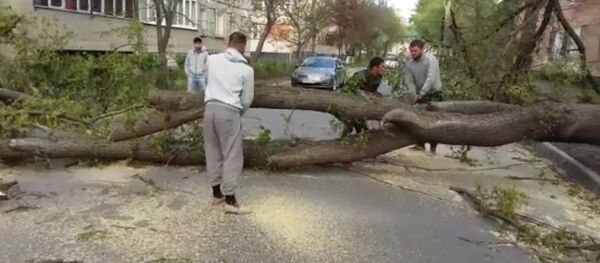 Во Владикавказе устраняли последствия шквалистого ветра - Sputnik Южная Осетия