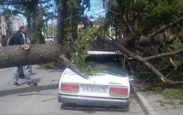 Дерево упало на машину - Sputnik Южная Осетия