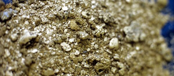 Самородное золото - Sputnik Южная Осетия