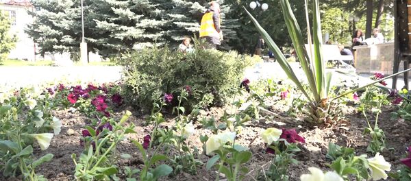 Посадка цветов в Цхинвале - Sputnik Хуссар Ирыстон