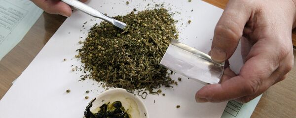 Работа специалиста лаборатории по исследованию наркотических средств Работа специалиста лаборатории по исследованию наркотических средств - Sputnik Хуссар Ирыстон