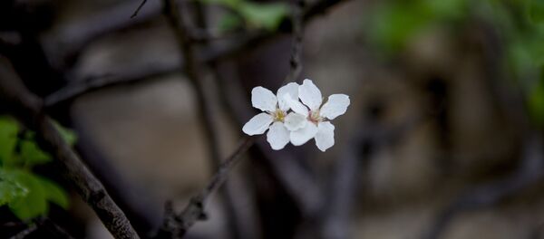 Маршрут выходного дня Маршрут выходного дня - Sputnik Южная Осетия