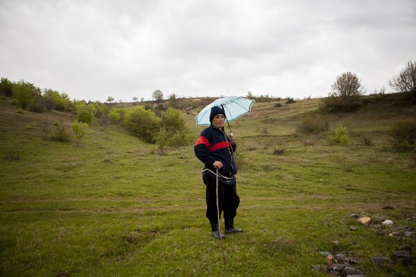 Жительница села Вахтана пасет коров - Sputnik Южная Осетия