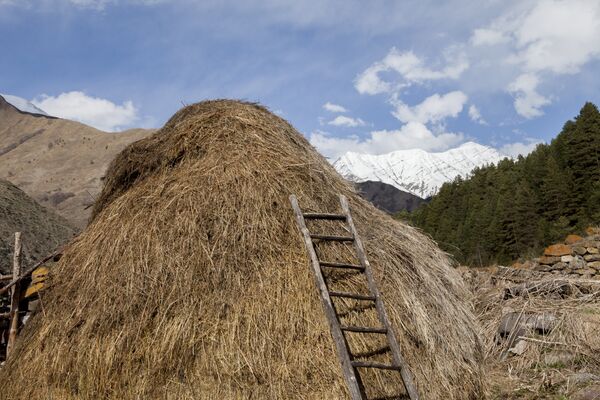 Заготовленный стог сена для скота, селение Эдис - Sputnik Южная Осетия