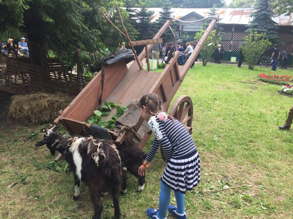 Для самых маленьких был подготовлен необычный сюрприз - дети могли погладить живых козлят - Sputnik Южная Осетия