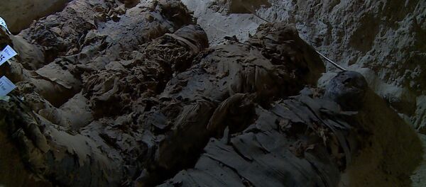 Археологи нашли в Египте 17 мумий Археологи нашли в Египте 17 мумий - Sputnik Южная Осетия